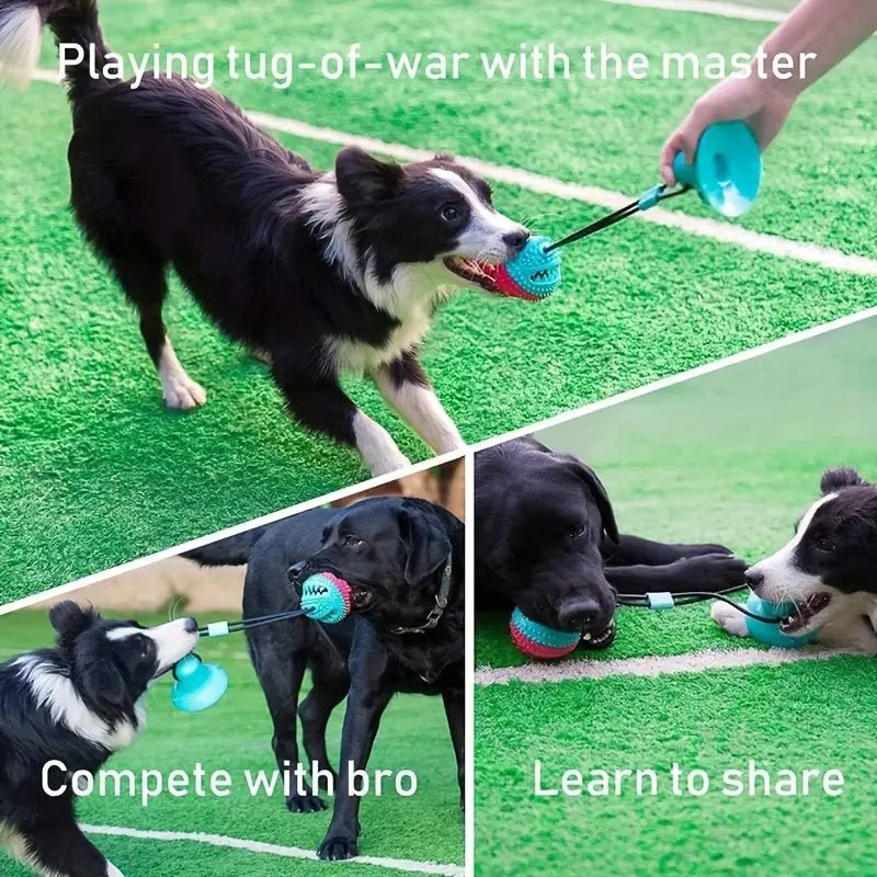 Dog Toys For Aggressive Chewers Interactive Teething Boredom And Stimulating Tug Of War Suction Cup Interactive Tug - of - War Dog Toy Treat Dispensing, Durable Thermoplastic Rubber Construction | Dog Toy from Globorislux